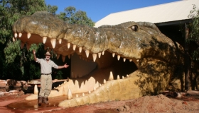 Enter another world through the jaws of a Crocodile